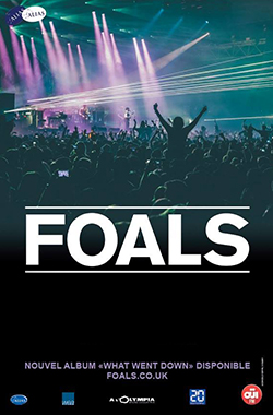 Foals