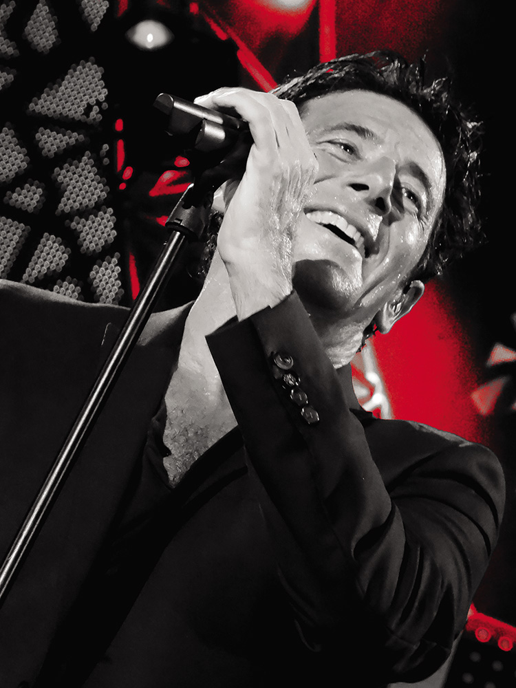 Patrick Bruel En Concert Billetterie En Ligne Contremarque