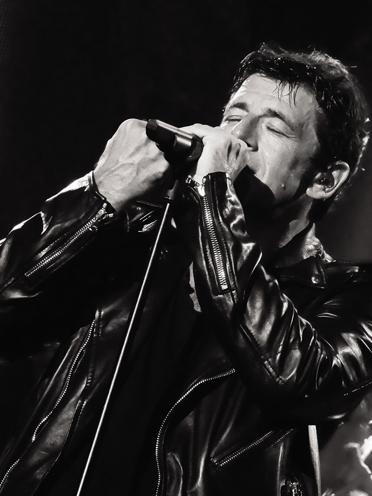 Patrick Bruel En Concert Billetterie En Ligne Contremarque