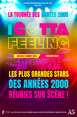 I Gotta Feeling – La tournée