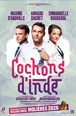 Cochons d&rsquo;Inde